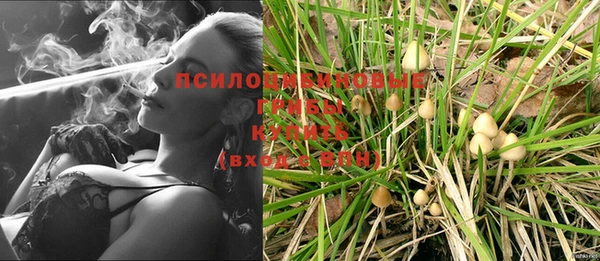 СК Киреевск