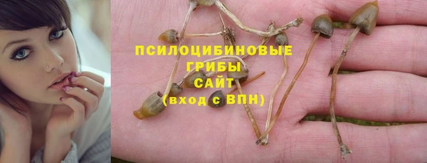 стафф Киренск