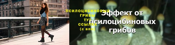 стафф Киренск