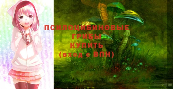 амф Кинешма