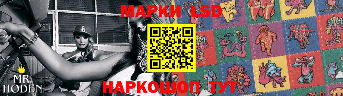 ссылка на мегу ТОР  Бердск  ЛСД экстази кислота  Лсд 25 экстази кислота 