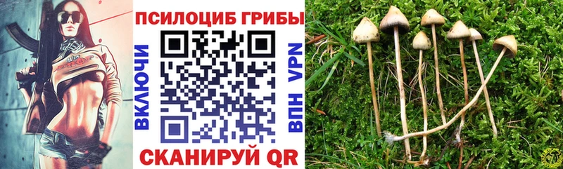 ссылка на мегу ссылка  Бердск  Псилоцибиновые грибы ЛСД  сколько стоит 