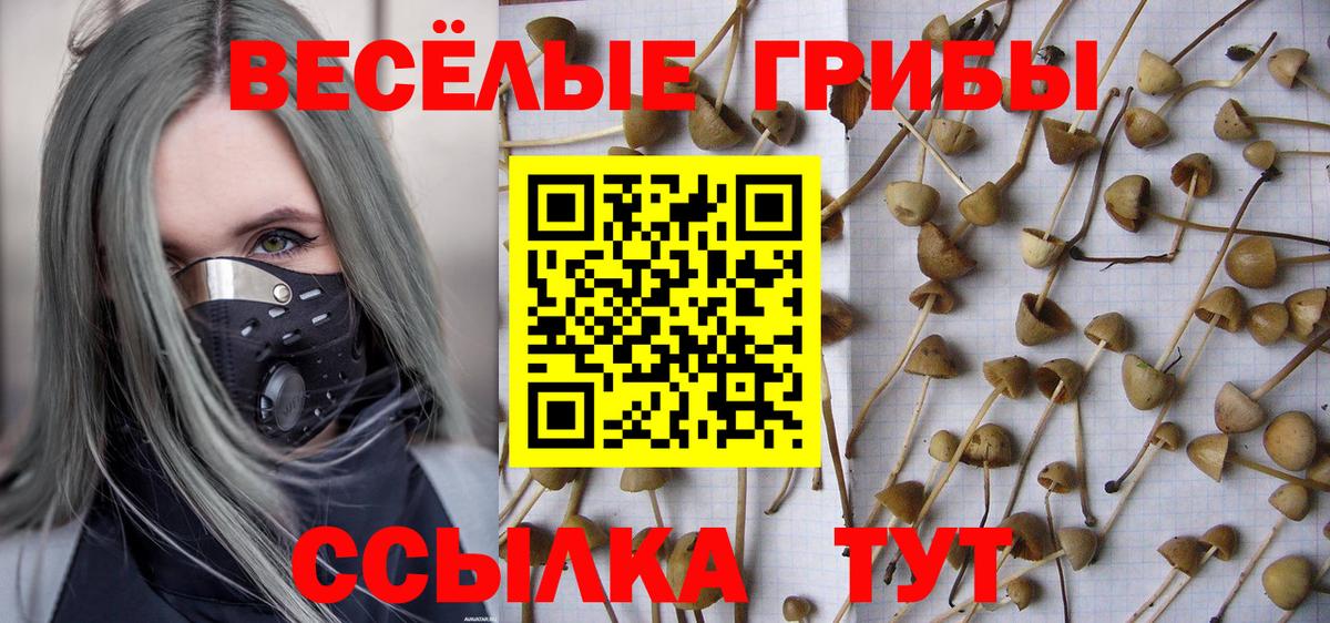 Галлюциногенные грибы мицелий  дарнет шоп  Бердск 