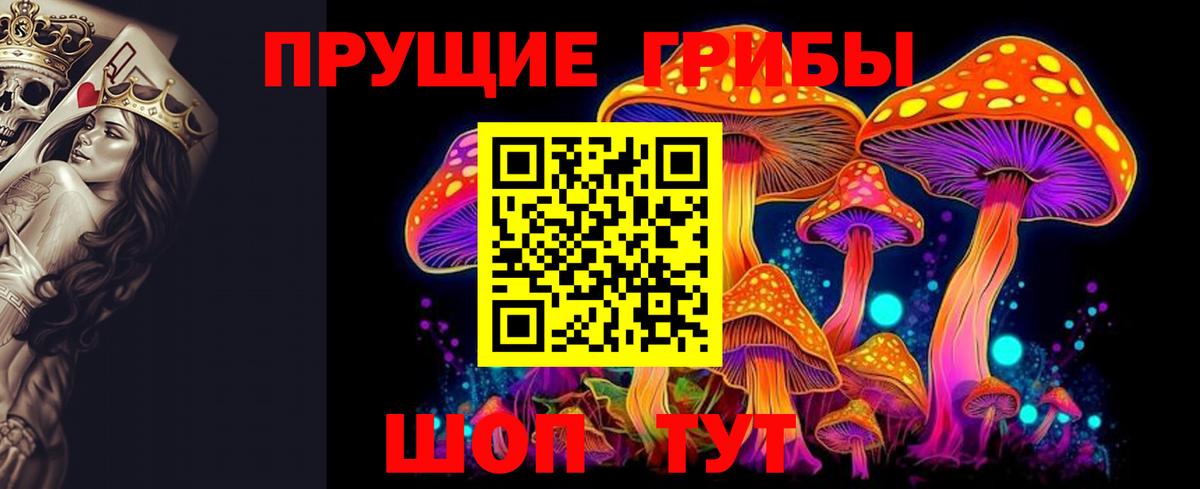 Псилоцибиновые грибы Cubensis Бердск