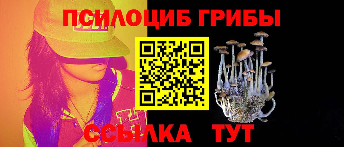 Бердск  Псилоцибиновые грибы MAGIC MUSHROOMS  Вход с VPN 
